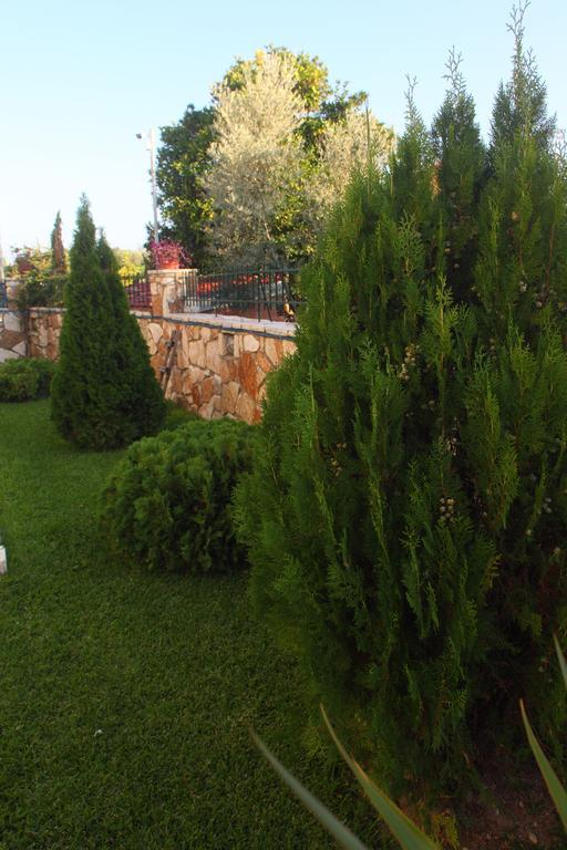 Aggelina Apartment Nydri (Lefkada)